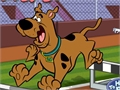 Scooby Doo - Steeplechase a imirt ar líne